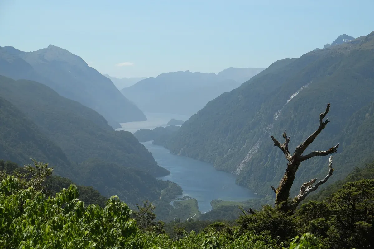 Afternoon view from Wilmot Pass down into Doubtful Sound, compared with a Milford Sound cruise
