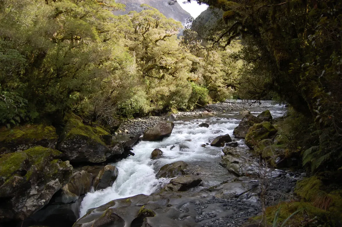 Water churning through rock at The Chasm, a stop on the way to a Milford Sound cruise