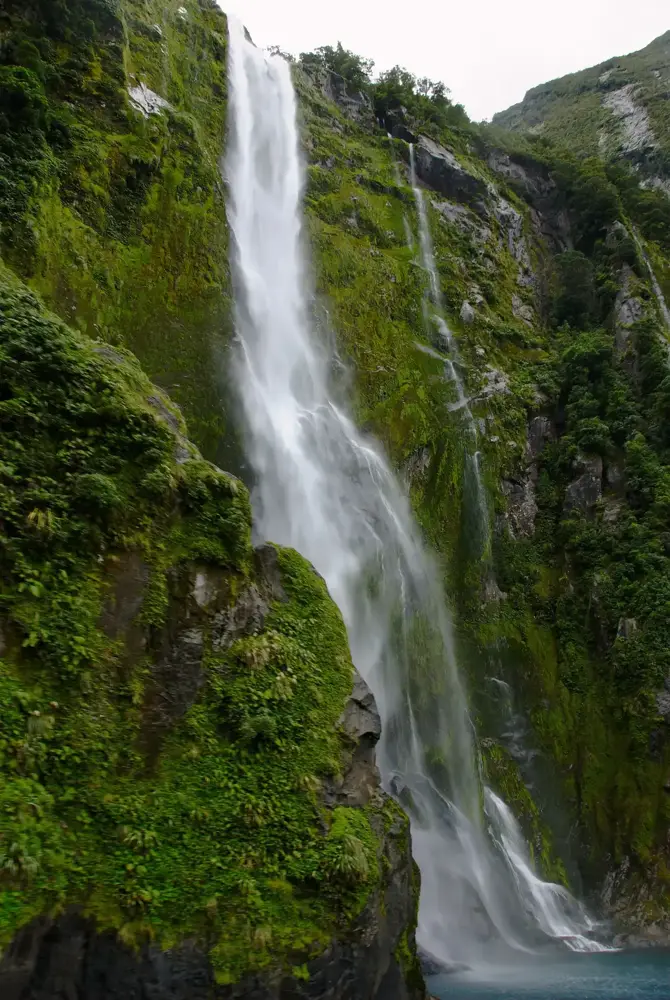 Stirling Falls dropping down a green cliff, a highlight of a Milford Sound cruise